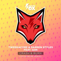 Crash & Burn_Tweekacore,Darren Styles,Giin