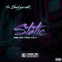 Static(feat. Shego & Ali X)_Harry Rose,Shego,Ali X