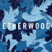 Caption_Etherwood