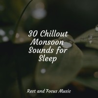 Trees of Tranquility_Native American Flute,Spa,Sleep Waves