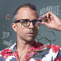 Kiss the Rose_Jesse Harris