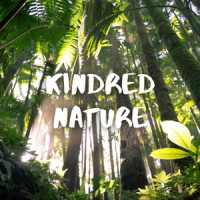 Relaxed Sphere_Spa,Rainforest Meditations,Relaxed Minds