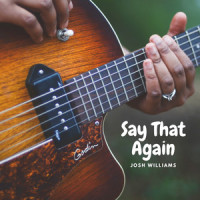 Say That Again_Josh Williams