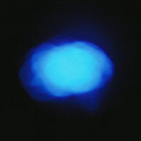 Into Your Heart_Bradley Stone