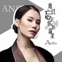 难以忘记你的温柔_Anita