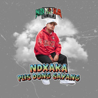 Plis Dong Sayang_NDX A.K.A
