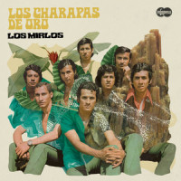 Amor Ausente_Los Mirlos