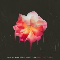 Perfect Love - Disquette•s Remix_UNSECRET,Sam Tinnesz,Ivory Layne