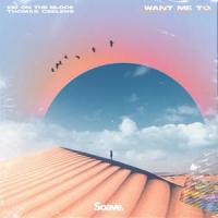 Want Me To_Kid On The Block,Thomas Geelens,Rowan Smeets