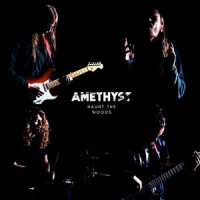 Amethyst_Haunt the Woods,Jonathan Stafford,Phoenix Elleschild,Oliver Bignell,Jack Hale