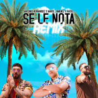 Se Le Nota_Antonio Hernandez,Rasel,Mayel Jimenez