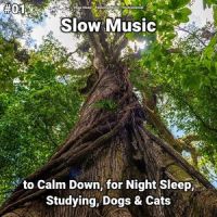 Great Background Sounds to Fall Asleep To_Deep Sleep,Instrumental,Relaxing Music