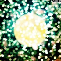 バンビ_Plastic Tree