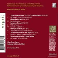 Aria nach "O Mensch bewein dein Sünde groß"_Hellen Kwon,Johann Sebastian Bach,Max Reger