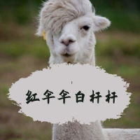 红伞伞白杆杆_华语群星,洛天依