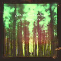 Boy with Blackbird Kite_Fossil Collective