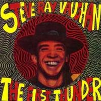 Shake A Hand_Stevie Ray Vaughan