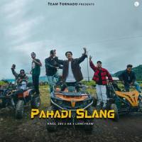 Pahadi Slang (feat. rage_100, Amit & Sachin)_Team Tornado,rage_100,Amit,Sachin