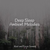 Soft Serendipity_Tibetan Singing Bowls for Relaxation,Tonal Meditation Collective,Deep Sleep