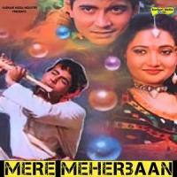 Teri Bhi Marzi_Alka Yagnik,Kumar Sanu