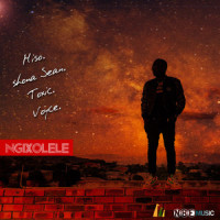 Ngixolele_MISO,Shona Sean,Voyce,Something Toxic