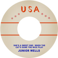 She's a Sweet One_Junior Wells