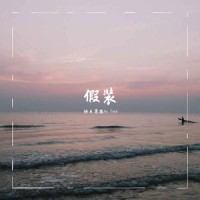 假装_坤木Joymo,Raychen