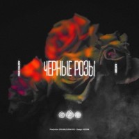 Чёрные розы_IVAN VALEEV,Natami