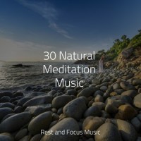 Soothing Symphony_Pink Noise,Meditation Awareness,Tinnitus Aid