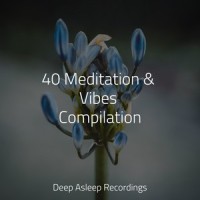 Translucent Sensations_Deep Sleep,Rain for Deep Sleep,Musica Relajante