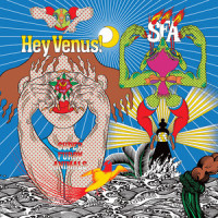 Neo Consumer_Super Furry Animals