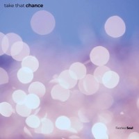 Take That Chance (feat. Rachael Schroeder)_Fearless Soul,Rachael Schroeder