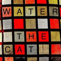 Water The Cat_Andrew Savage