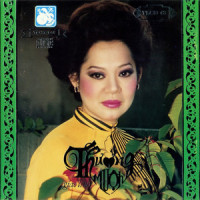Chuyện Một Người Đi_Giao Linh,Tran Thien Thanh