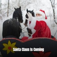 You're My Christmas Present_Don Williams