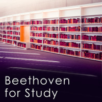 Beethoven: Rage Over A Lost Penny, Op. 129_Valentina Lisitsa