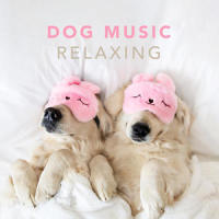Dog Music - Relaxing Music for Dogs and Puppies, Pt. 25_Sleepy Dogs,Dog Music Club