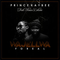 Wajellwa_Prince Kaybee,Shaun Dihoro