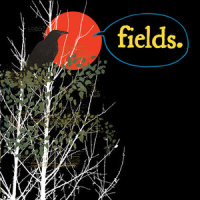 How Are You Now?_Fields