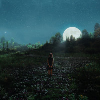 444_Ambar Lucid