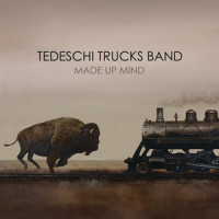 Do I Look Worried_Tedeschi Trucks Band