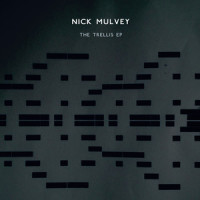The Trellis_Nick Mulvey