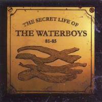 Billy Sparks_The Waterboys