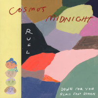 Down for You_Cosmo's Midnight,Ruel,RIMON
