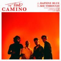 Daphne Blue_The Band CAMINO