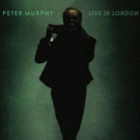 A God In an Alcove_Peter Murphy