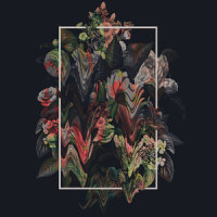 Are You Real_Ed Tullett