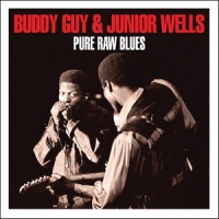 Eagle Rock_Junior Wells,Elmore James