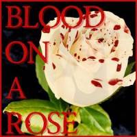 Blood On A Rose_Everybody Loves an Outlaw