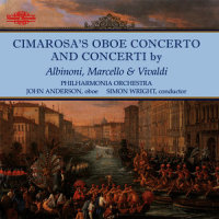 Concerto in D Minor: I. Andante e Spiccato_John Anderson